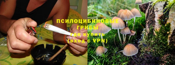 марки nbome Лиски