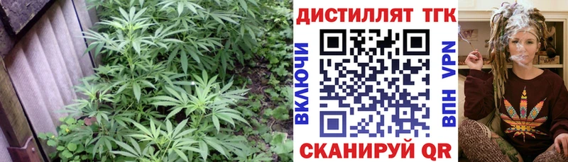 как найти наркотики  Бобров  ТГК концентрат 